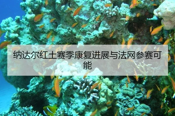 纳达尔红土赛季康复进展与法网参赛可能