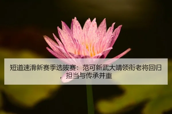 短道速滑新赛季选拔赛：范可新武大靖领衔老将回归，担当与传承并重